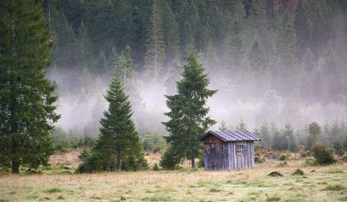 Herbsttage im Tannheimertal – dem Nebel entfliehen Herbsttage im Tannheimertal – dem Nebel entfliehen