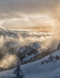 Finden Sie Ihren Weg in den Urlaub - Das Rehbach, Allgäu Finden Sie Ihren Weg in den Urlaub - Das Rehbach, Allgäu