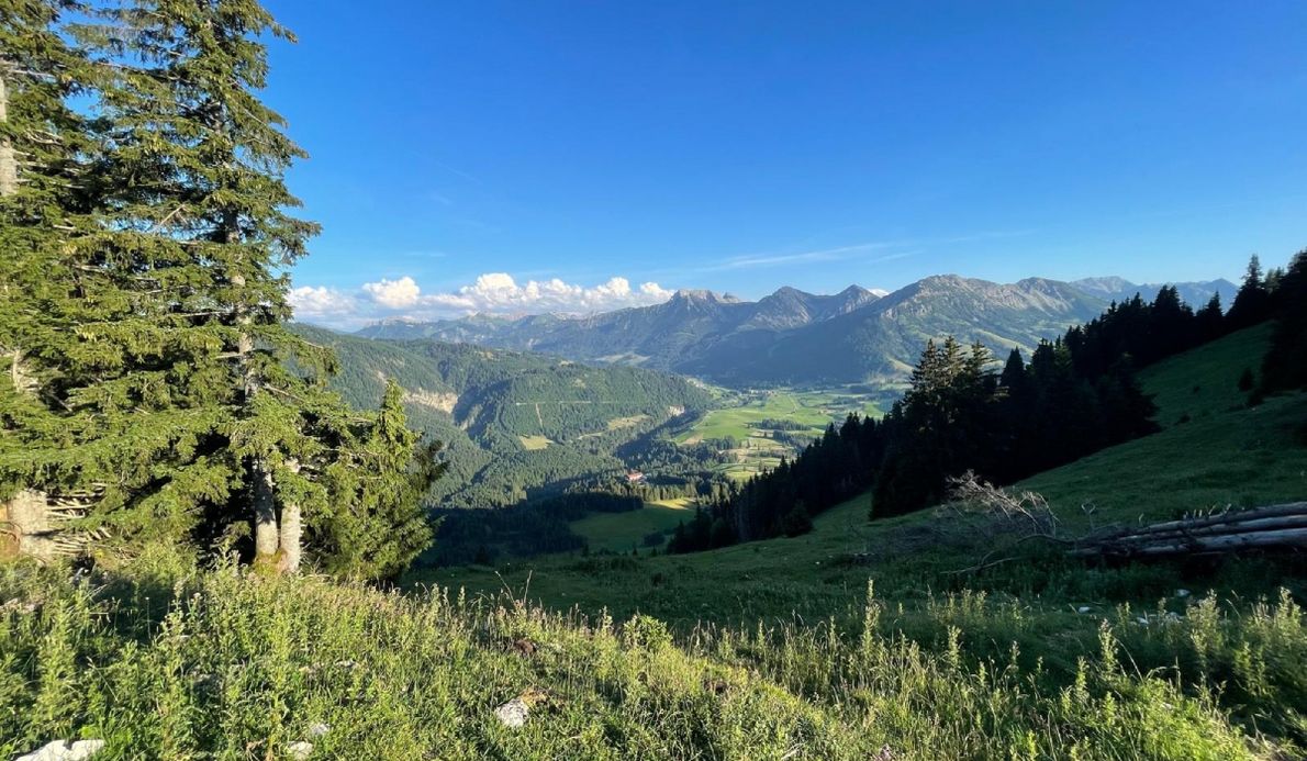 Bergfrühling-Ruhehotel-Wellnesshotel-Rehbach-Tannheimertal