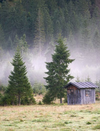 Finden Sie Ihren Weg in den Urlaub - Das Rehbach, Allgäu Finden Sie Ihren Weg in den Urlaub - Das Rehbach, Allgäu