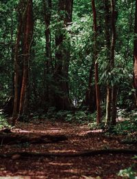 Wellnesshotel im Tannheimer Tal / Naturresort Rehbach
