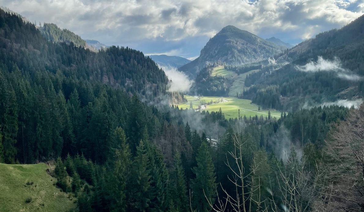 Gartenarbeiten-Rehbach-Hotel-Tannheimertal-2023