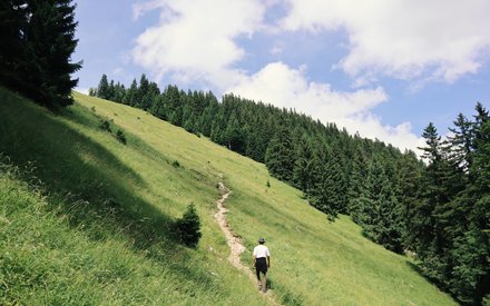 Picturesque nature - holidays in the Tannheimer Tal