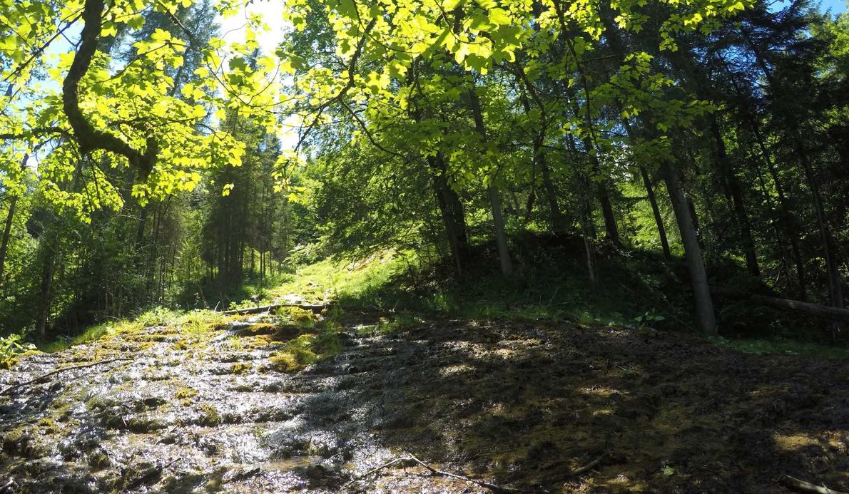 stille-orte-tannheimer-tal-tirol