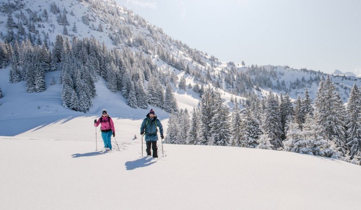 Umweltfreundlicher-Urlaub-im Tannheimertal-Wellnesshotel-Rehbach